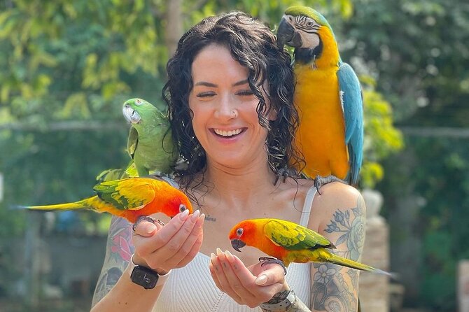 Bird Sanctuary and animal farm Day Tour - Montego Bay’s Hip Strip upgrade: shop smart with limited time