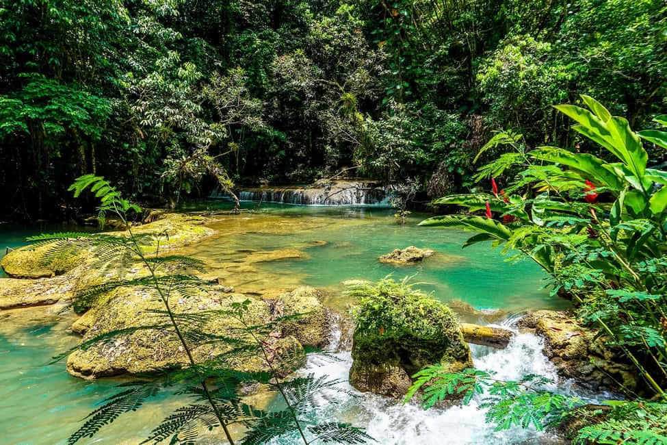 Black River Safari and Ys Falls Tour and Transportation - Who this tour fits best (and who should think twice)