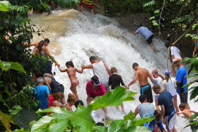 Blue Hole and Dunn's River Falls from Montego Bay - Pickup, ride comfort, and how the timing feels on the ground