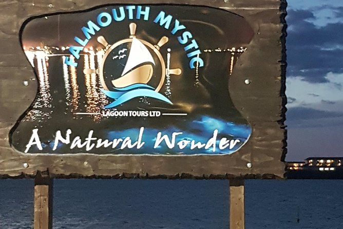 Blue Hole, Dunn's River Falls Luminous Lagoon Excursion From Montego Bay - Price and value: $210.33 for three major nature stops