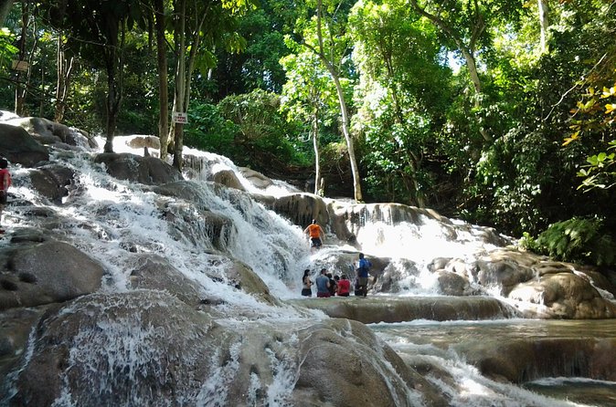 Blue Hole, Dunn's River Falls Luminous Lagoon Excursion From Montego Bay - Who this tour is perfect for (and who should rethink it)