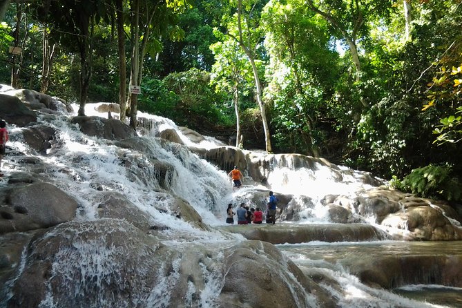 Blue Hole, Dunn's River Falls Luminous Lagoon Excursion From Montego Bay - Dunn’s River Falls: what it means to walk a waterfall terrace