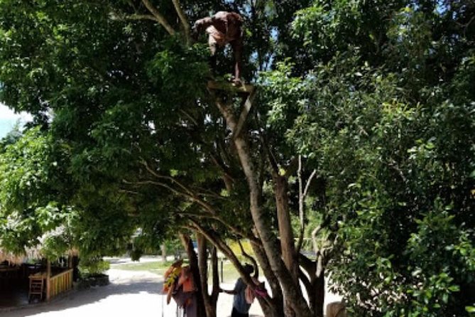 Blue Hole Mineral Spring and Ricks Cafe Private Tour - Price and Value for a Private 5–8 Hour Day