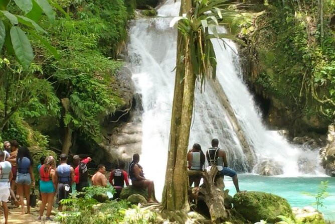 Blue Hole/Secert falls and Dunns River Combo Tour - Dunn’s River Falls Climb: Seven Tiers, One Hour, Safety Help Included