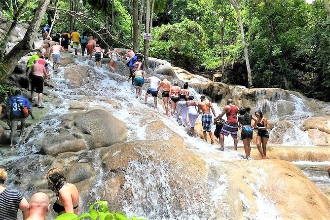 Blue Hole, Secret Falls, and Dunn's River Falls Combo Day-Trip - Price and logistics: what $125 buys you