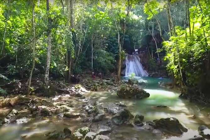 Blue Hole Waterfalls and Rasta Garden from Montego Bay - Who should book this Blue Hole and Rasta Garden tour?