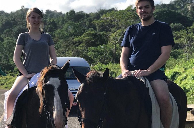 Blue hole waterfalls + horseback riding from Montego bay - Montego Bay Morning: How the 5–6 Hour Rhythm Works
