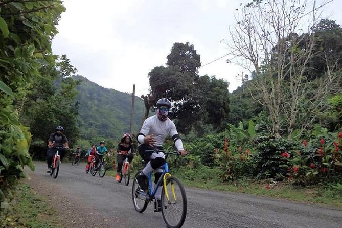 Blue Mountain Bicycle Tour from Montego Bay - A 6:00 am Blue Mountains bike day you’ll remember