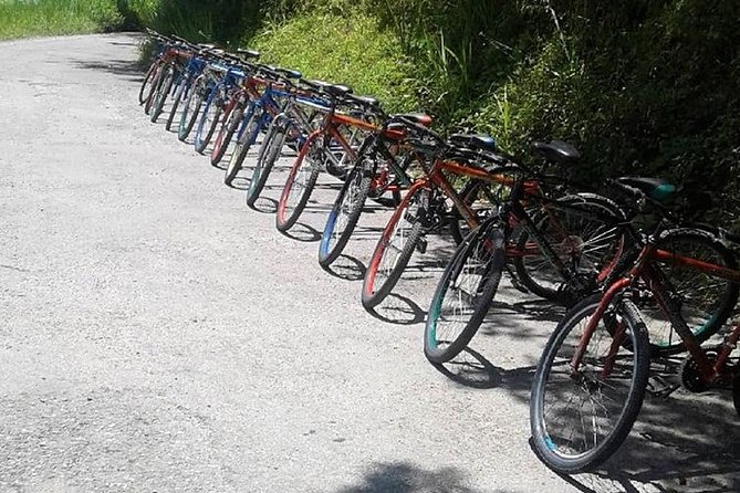 Blue Mountain Bicycle Tour from Montego Bay - The waterfall dip: a cooling break that changes the tone