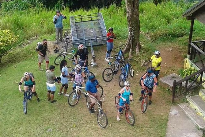 Blue Mountain Bicycle Tour from Montego Bay - Driving into the Blue Mountains: the calm warm-up
