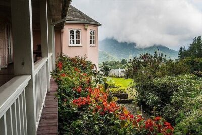 Blue Mountain Coffee, Bob Marley and Art Tour from Montego Bay - Bob Marley Museum and the Jamaica National Gallery in one Kingston sweep