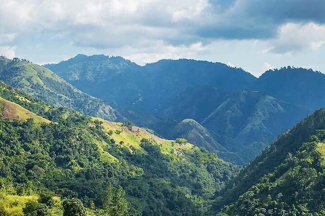 Blue Mountain Coffee, Bob Marley and Art Tour from Montego Bay - Up into the Blue Mountains: 2,400 feet and a coffee-country change of pace