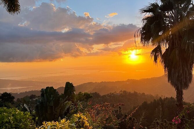 Blue Mountain Coffee, Bob Marley and Art Tour from Montego Bay - Craighton Estate Great House: the guided coffee lecture plus tasting