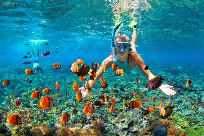 Boatride & Snorkeling then Margaritaville Hipstrip Activity - Key highlights at a glance