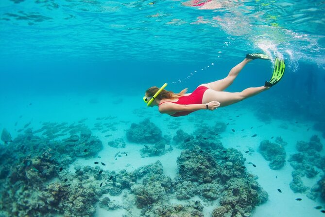 Boatride & Snorkeling then Margaritaville Hipstrip Activity - Who should book this snorkeling + Hip Strip combo