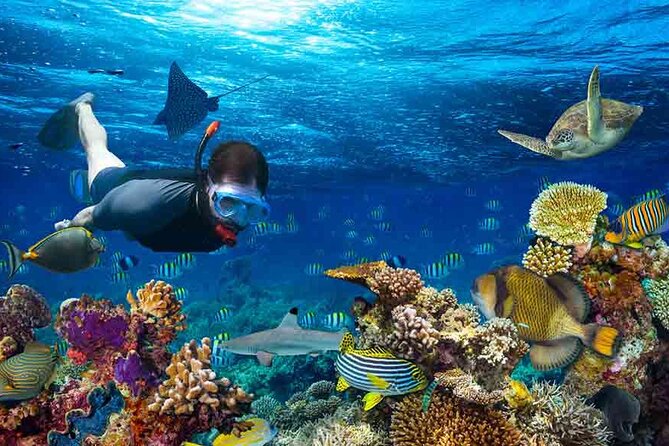 Boatride & Snorkeling then Margaritaville Hipstrip Activity - Practical tips so your day stays stress-free