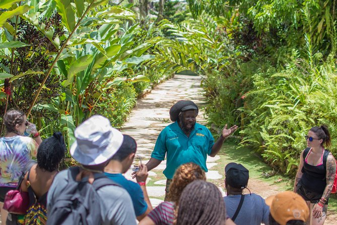Bob Marley 9 Mile Tour Admission - What about music, food, and souvenirs during the visit?