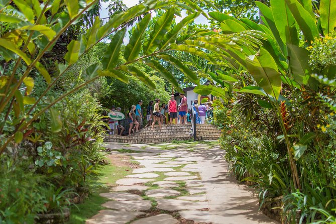 Bob Marley 9 Mile Tour Admission - Comfort checklist: fitness level, hillside walking, and footwear rules