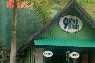 Bob Marley Mausoleum Nine Mile Tour from Montego Bay - Pickup From Montego Bay and The Road to the Hills
