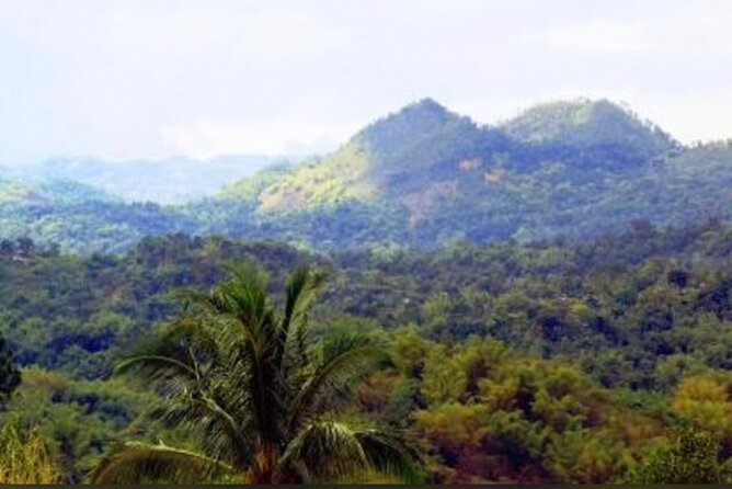 Bob Marley Nine Mile Home Private Tour from Montego Bay - Key highlights you’ll notice right away