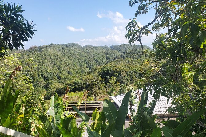 Bob Marley Nine Mile Home Private Tour from Montego Bay - Price and value: is $190 per person worth it?