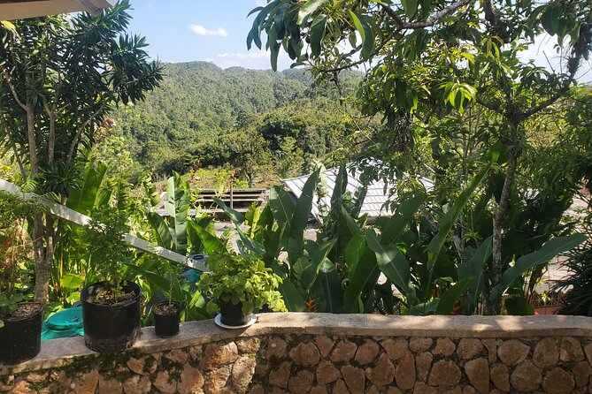 Bob Marley Nine Mile Home Private Tour from Montego Bay - Small tips that make a big difference on your Nine Mile visit