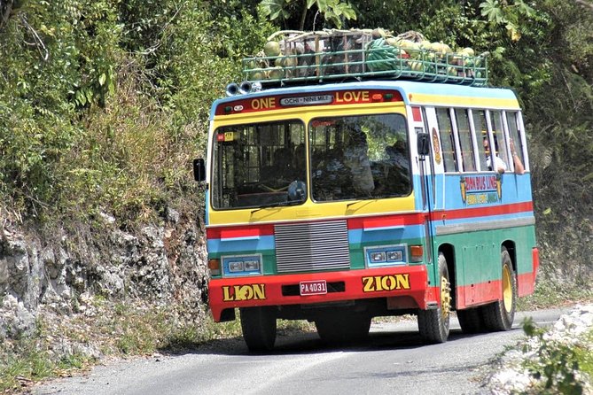 Bob Marley's Nine Mile Admission and Guided Tour from Montego Bay - Who should book this Nine Miles day trip?