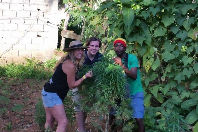 Bob Marley's Nine Mile & Dunns River Falls Tour: Transportation & Ticket - Dunn’s River Falls and Park: a 3-hour climb with admission included