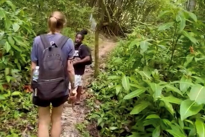 Bush Hiking to explore Wild Plants & Fresh Fruits,Montego Bay - Where the hike begins: bamboo rafts to Lethe Village