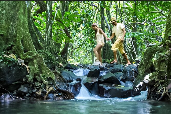 Bush Hiking to explore Wild Plants & Fresh Fruits,Montego Bay - The guide experience: certified locals, plus Aldwane Birch behind the wheel