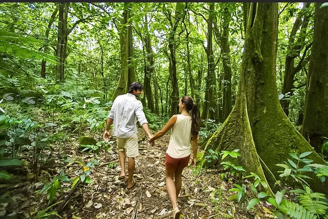 Bush Hiking to explore Wild Plants & Fresh Fruits,Montego Bay - Duration and pacing: how the day fits into a Montego Bay schedule