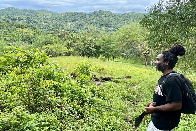 Bush Hiking to explore Wild Plants & Fresh Fruits,Montego Bay - Pickup, private transport, and mobile tickets: the logistics that keep it easy