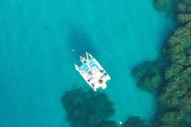 Catamaran, snorkeling & Dunn's River Falls - Key Things I’d Prioritize Before You Go