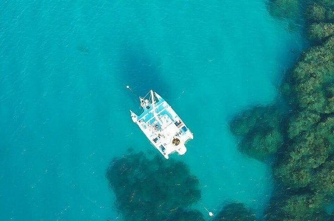 Catamaran, snorkeling & Dunn's River Falls - Snorkeling Along the Way: Chance to See Fish, With Choppy-Water Realism