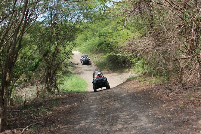Chukka ATV Safari - What You Drive: Dirt Trails, Tropical Forest, and Rugged Roads