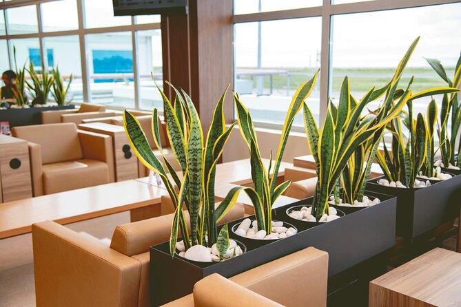 Club Mobay Sangster Airport VIP Lounge with Priority Entry - Should You Book Club Mobay VIP Lounge With Priority Entry?