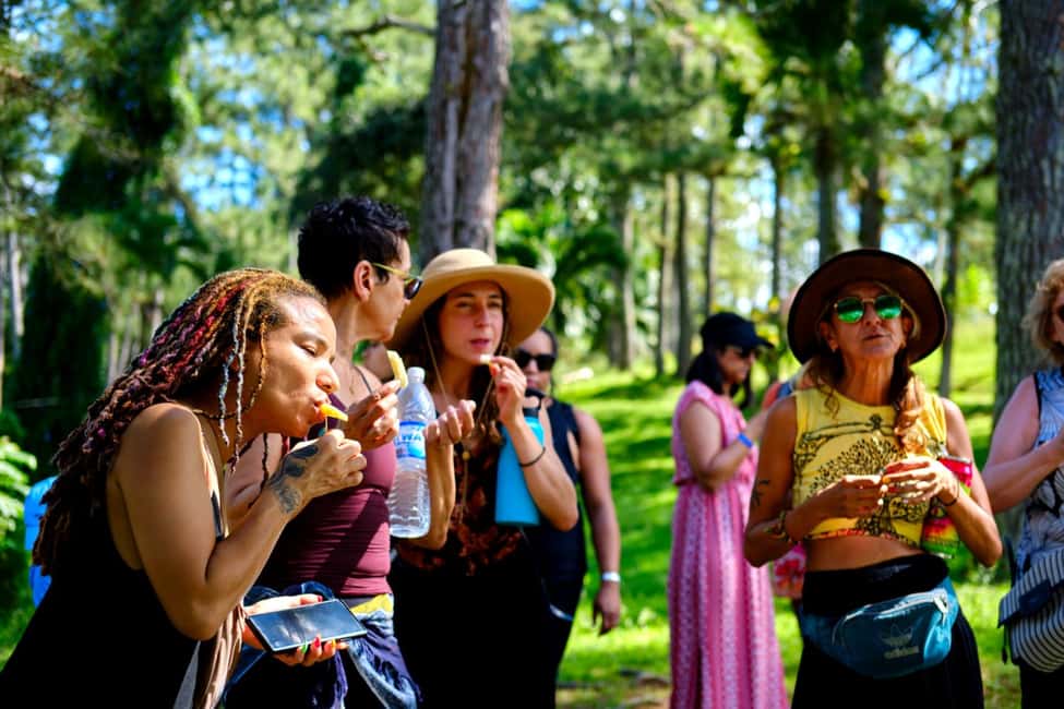 Croydon in the Mountains - Eco Farm Tour with Lunch - Croydon Plantation: Catadupa views and Samuel Sharpe’s birthplace