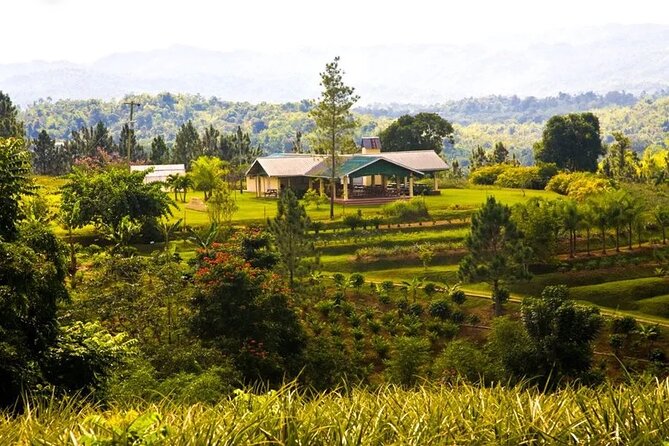 Croydon In The Mountains - Exotic Fruits & Flowers - Key things to know before you go