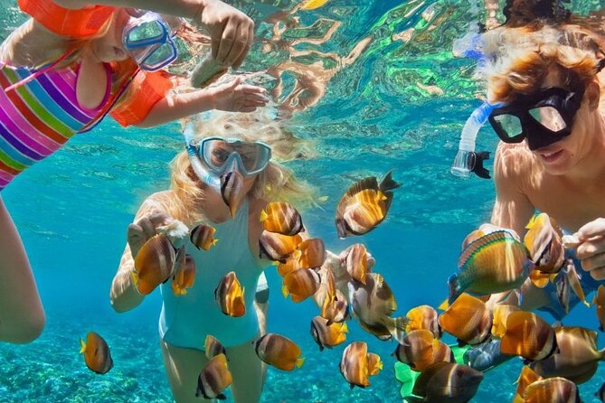Customize Snorkeling with Option shopping Lunch & Stop local food - Key Highlights Worth Your Time