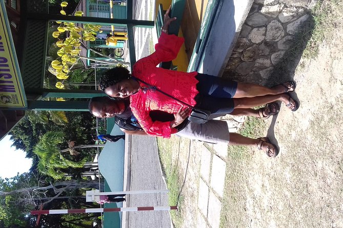Day Trip to Dunn's River Falls from Montego Bay - Pickup and drive: how the North Coast Highway ride sets the tone