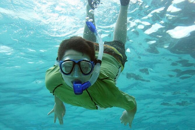 Discover Scuba Diving in Montego Bay-ONE Tank (First time Diving) - The “learn first” portion: theory and skills you’ll use immediately