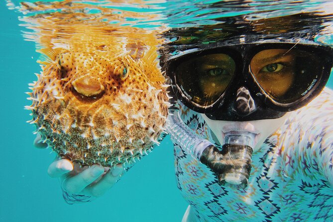 Discover Scuba Diving in Montego Bay-ONE Tank (First time Diving) - Sunset Beach meeting point: getting oriented without stress
