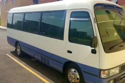 Dreams Rose Hall Resort & Spa Montego Bay Airport Transfer - How the Meet-and-Ride Works After You Land