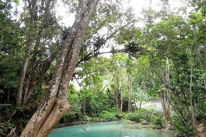 Dunn's Falls and Blue Hole Daytrip with Lunch from Montego Bay & Trelawny - Quick hits before you go