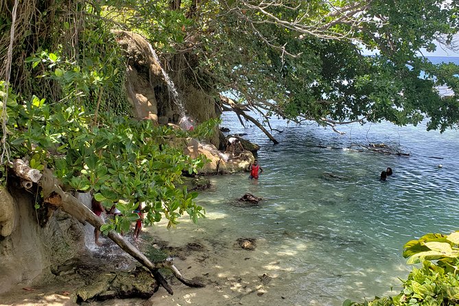 Dunn's Falls and Blue Hole Daytrip with Lunch from Montego Bay & Trelawny - The people who make it work: Tony, Mike, and local hosts