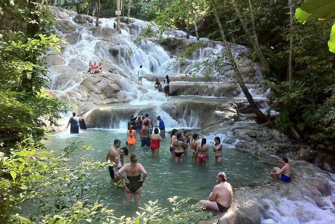 Dunn's River Falls and Jamaica Sightseeing Private Tour - Key highlights at a glance