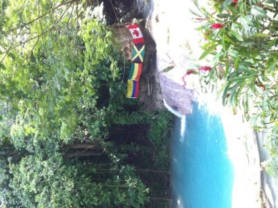 Dunn's River Falls and Jamaica Sightseeing Private Tour - Private pickup from Montego Bay (and cruise ships)