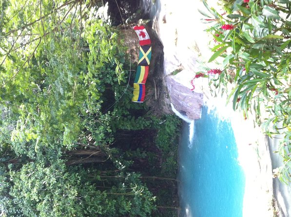 Dunn's River Falls and Jamaica Sightseeing Private Tour - Private pickup from Montego Bay (and cruise ships)