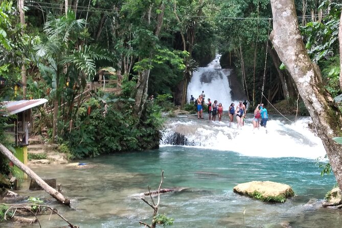 Dunn's River Falls & Blue Hole from Montego Bay or Falmouth - Price and Value: What $99.99 Really Turns Into