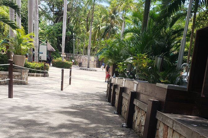 Dunn's River Falls & Blue Hole Tour from Montego Bay - How This Montego Bay Waterfall Day Really Runs